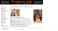 Desktop Screenshot of ciseaux-dor.com
